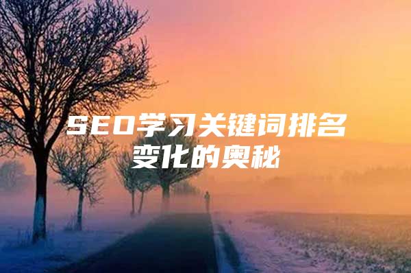 SEO学习关键词排名变化的奥秘