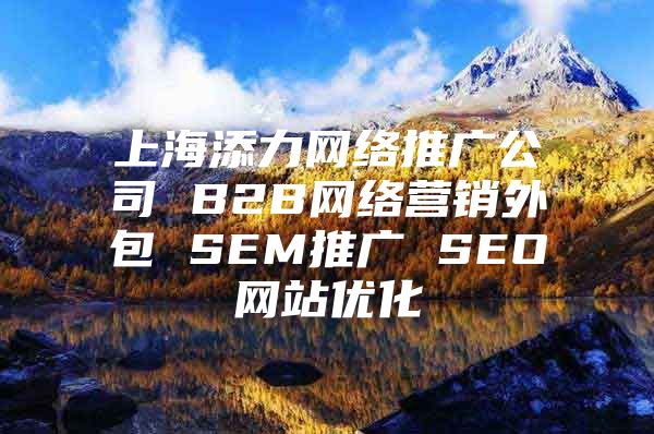 上海添力网络推广公司 B2B网络营销外包 SEM推广 SEO网站优化