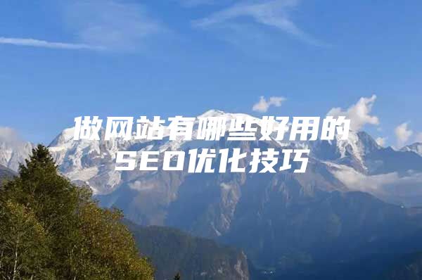 做网站有哪些好用的SEO优化技巧