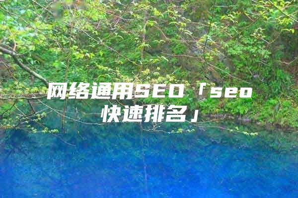 网络通用SEO「seo快速排名」