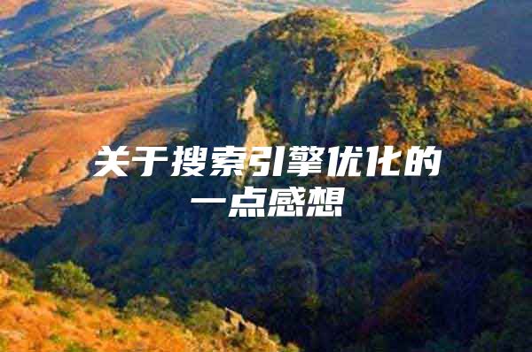 关于搜索引擎优化的一点感想