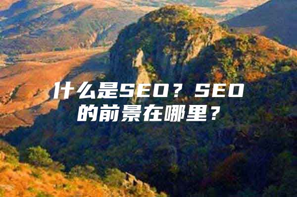 什么是SEO？SEO的前景在哪里？