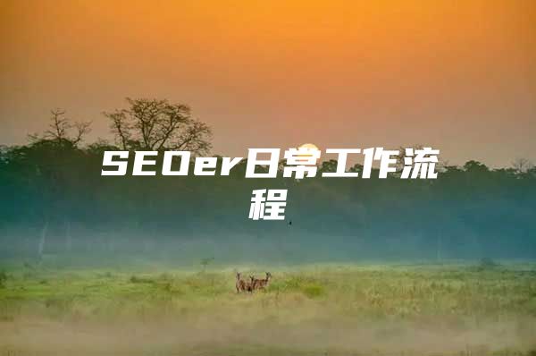 SEOer日常工作流程