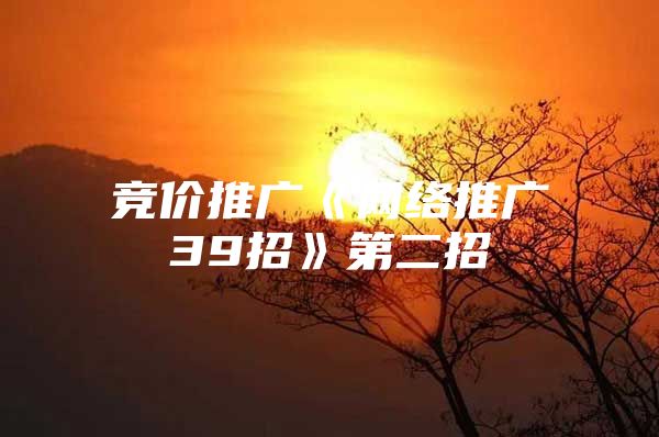 竞价推广《网络推广39招》第二招