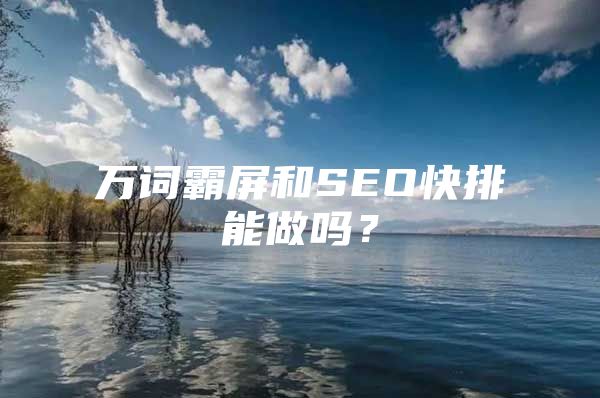 万词霸屏和SEO快排能做吗？