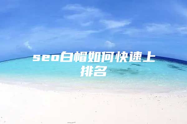 seo白帽如何快速上排名