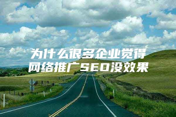 为什么很多企业觉得网络推广SEO没效果