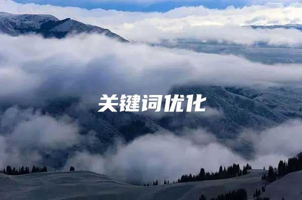 关键词优化