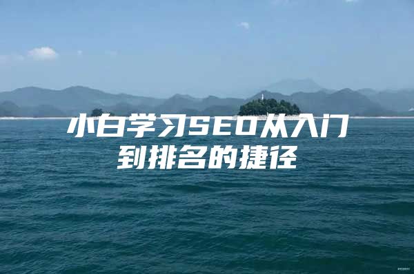小白学习SEO从入门到排名的捷径