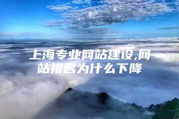 上海专业网站建设,网站排名为什么下降