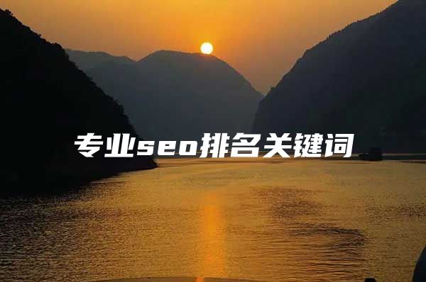 专业seo排名关键词