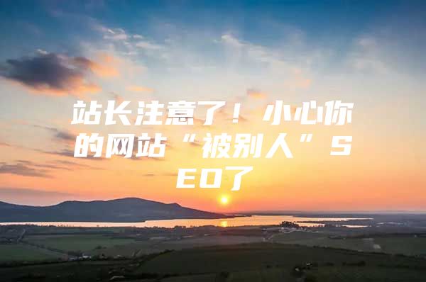 站长注意了！小心你的网站“被别人”SEO了