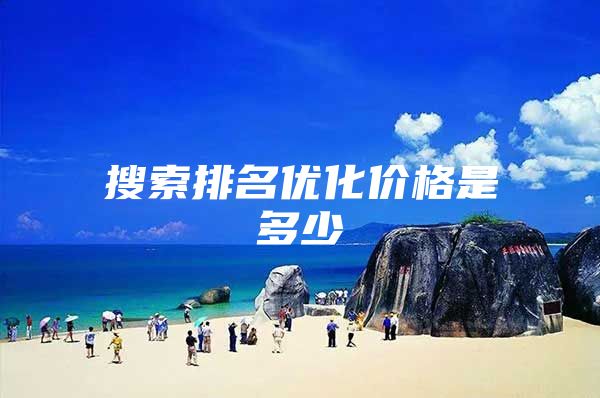 搜索排名优化价格是多少