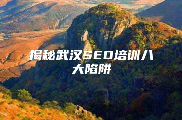 揭秘武汉SEO培训八大陷阱