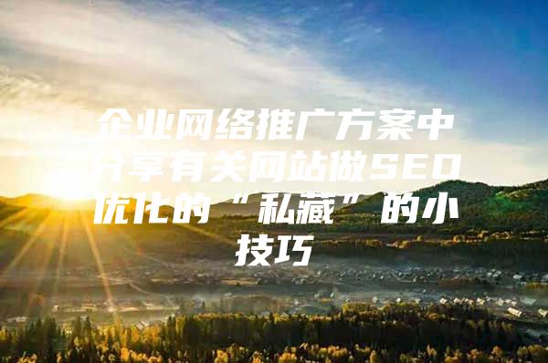 企业网络推广方案中分享有关网站做SEO优化的“私藏”的小技巧