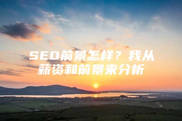 SEO前景怎样？我从薪资和前景来分析