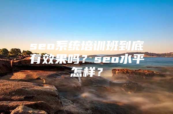 seo系统培训班到底有效果吗？seo水平怎样？