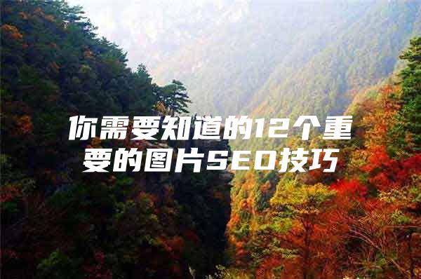 你需要知道的12个重要的图片SEO技巧