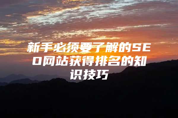 新手必须要了解的SEO网站获得排名的知识技巧