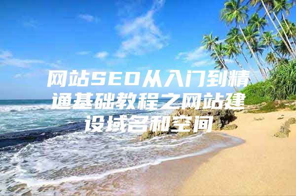 网站SEO从入门到精通基础教程之网站建设域名和空间