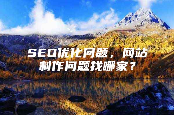 SEO优化问题，网站制作问题找哪家？