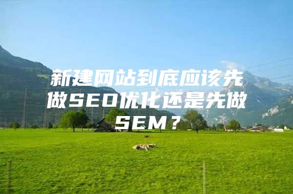 新建网站到底应该先做SEO优化还是先做SEM？