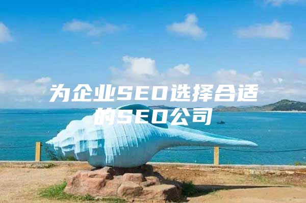 为企业SEO选择合适的SEO公司