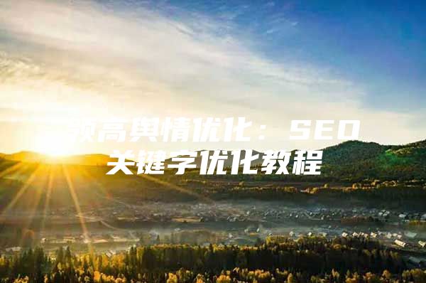 领高舆情优化：SEO关键字优化教程