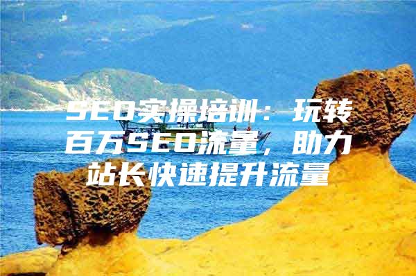 SEO实操培训：玩转百万SEO流量，助力站长快速提升流量