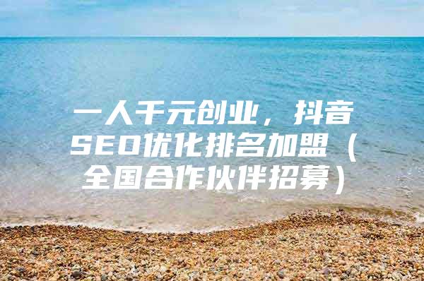 一人千元创业，抖音SEO优化排名加盟（全国合作伙伴招募）