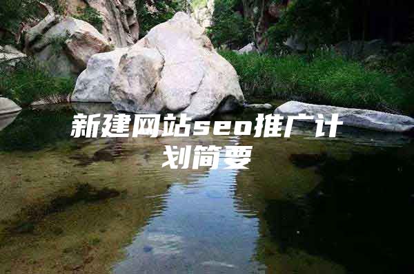 新建网站seo推广计划简要