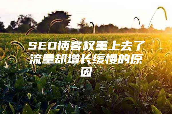 SEO博客权重上去了流量却增长缓慢的原因
