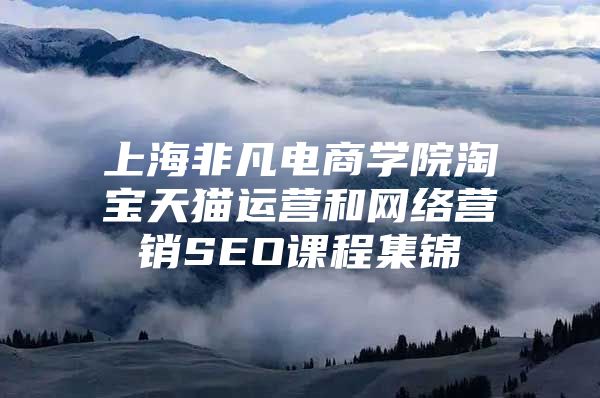 上海非凡电商学院淘宝天猫运营和网络营销SEO课程集锦