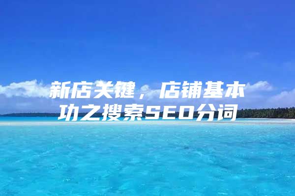 新店关键，店铺基本功之搜索SEO分词