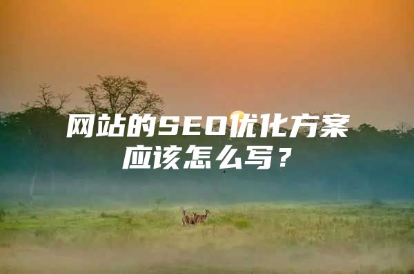 网站的SEO优化方案应该怎么写？