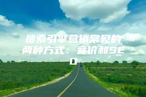 搜索引擎营销常见的两种方式：竞价和SEO