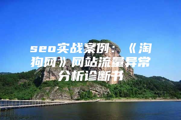 seo实战案例：《淘狗网》网站流量异常分析诊断书