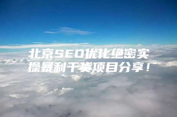 北京SEO优化绝密实操暴利干货项目分享！