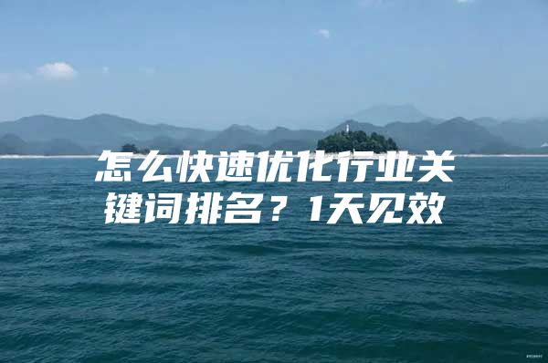怎么快速优化行业关键词排名？1天见效
