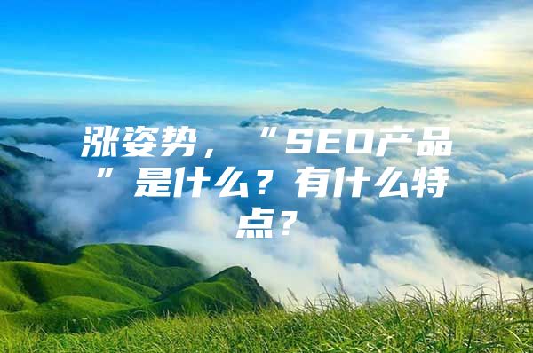 涨姿势，“SEO产品”是什么？有什么特点？