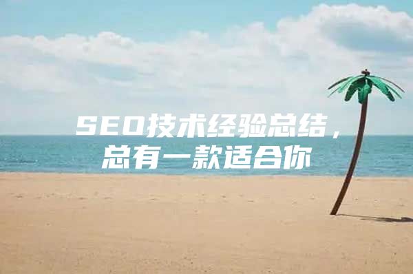 SEO技术经验总结，总有一款适合你