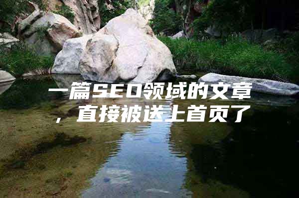 一篇SEO领域的文章，直接被送上首页了
