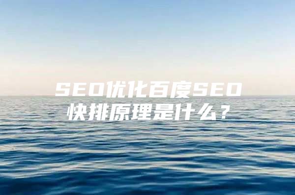 SEO优化百度SEO快排原理是什么？