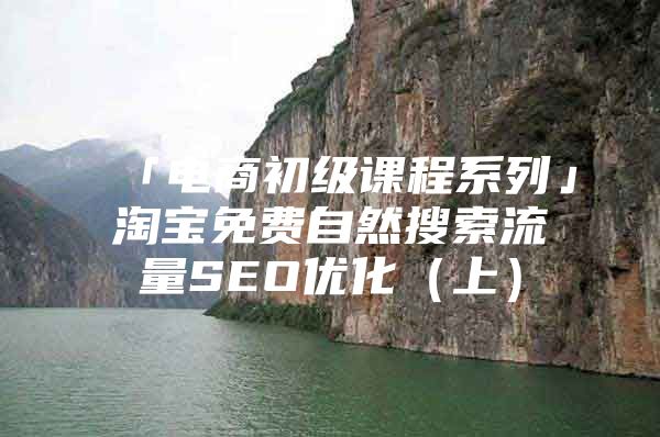 「电商初级课程系列」淘宝免费自然搜索流量SEO优化（上）