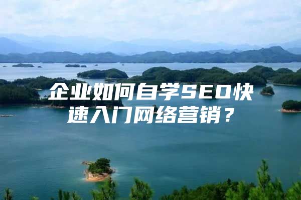 企业如何自学SEO快速入门网络营销？