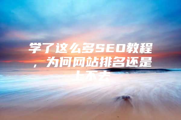 学了这么多SEO教程，为何网站排名还是上不去