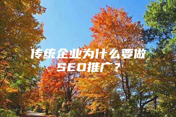 传统企业为什么要做SEO推广？