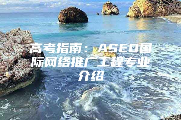 高考指南：ASEO国际网络推广工程专业介绍