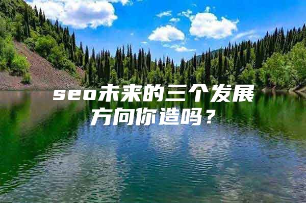 seo未来的三个发展方向你造吗？