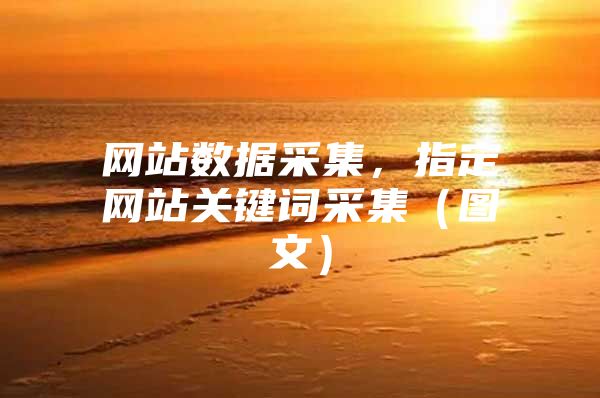 网站数据采集，指定网站关键词采集（图文）